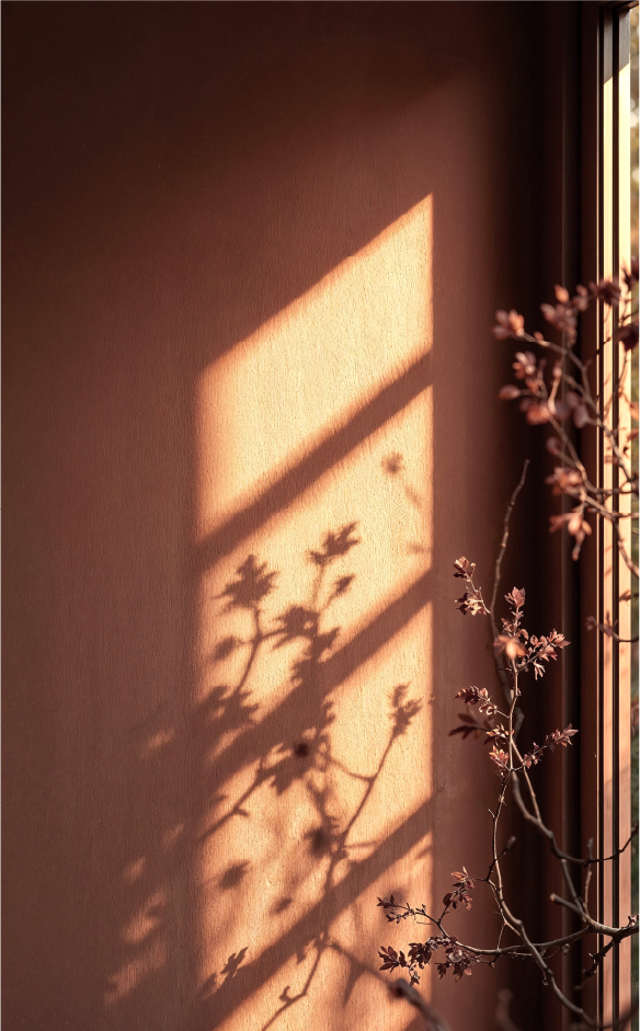 Picture of home decoration