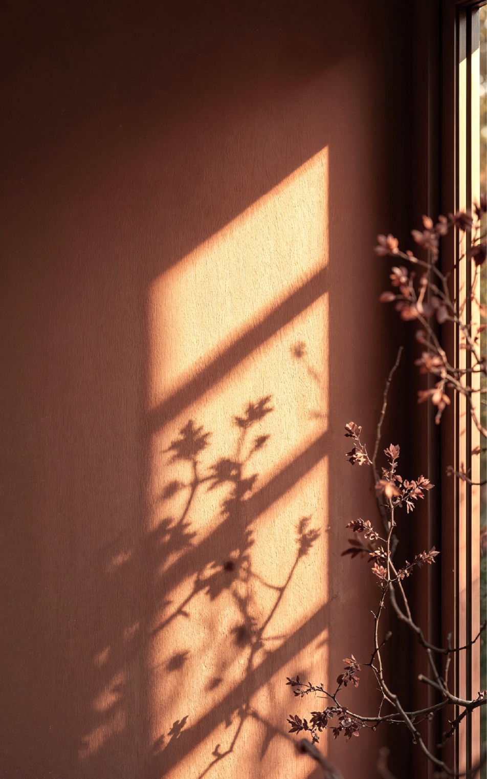 Picture of home decoration